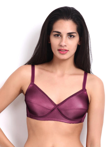 Amante Sheer Comfort Purple Bra BFOM18