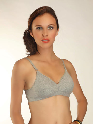 Prestitia Grey Cogent Basics Bra 1007